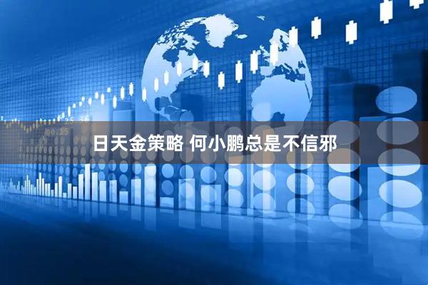 日天金策略 何小鹏总是不信邪